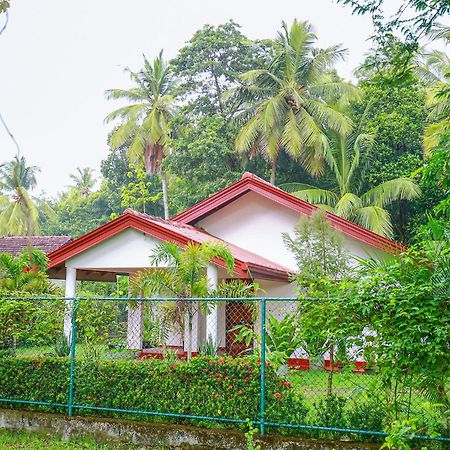 Villa Ravichini Polonnaruwa Eksteriør bilde